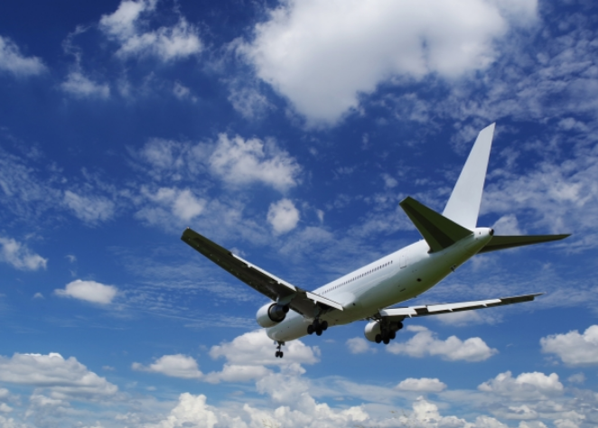 オペレーティングリースの窓⼝